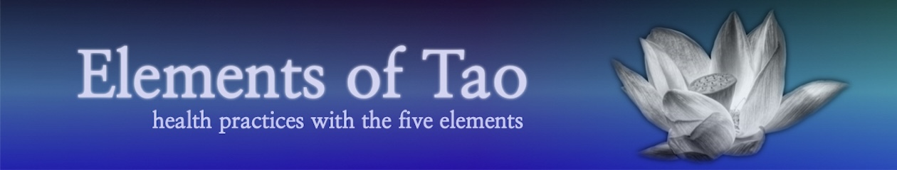 Elements of Tao